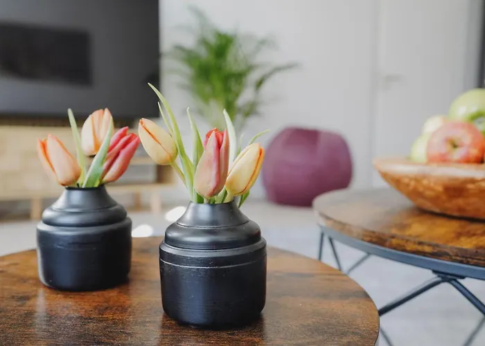 Kassberg Domizil شقة *